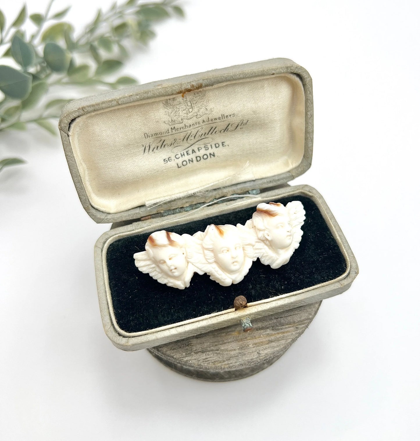 Early Victorian Angel Skin Coral Cherub Trio Shell Cameo Brooch, Circa 1850