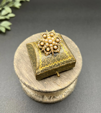 A yellow gold brooch/pendant with pearls in the shape of a star