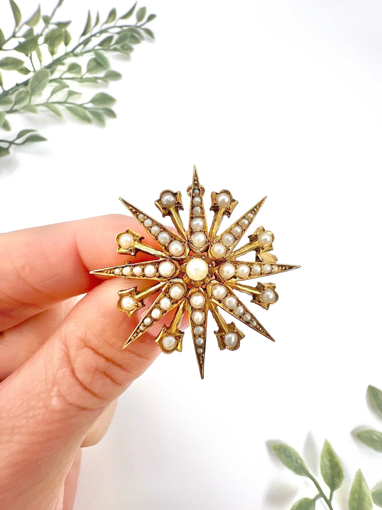 Antique 15 ct Yellow Gold, Edwardian Seed Pearl Star Pendant/Brooch