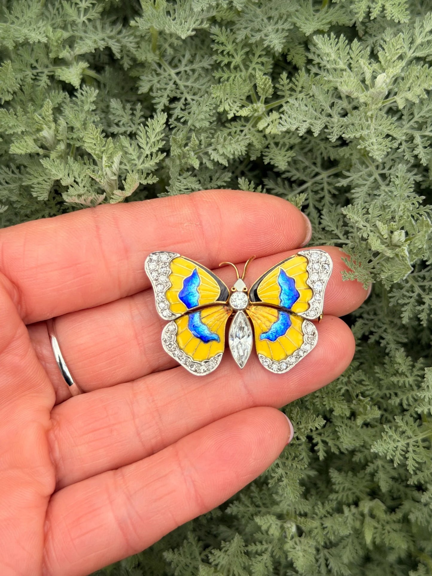 Early 20th Century Diamond and Enamel Butterfly Brooch