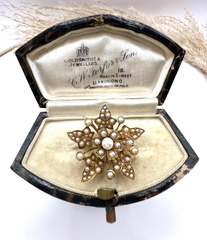Antique 15 ct Gold, Edwardian Natural Seed Pearl Flower Pendant/Brooch