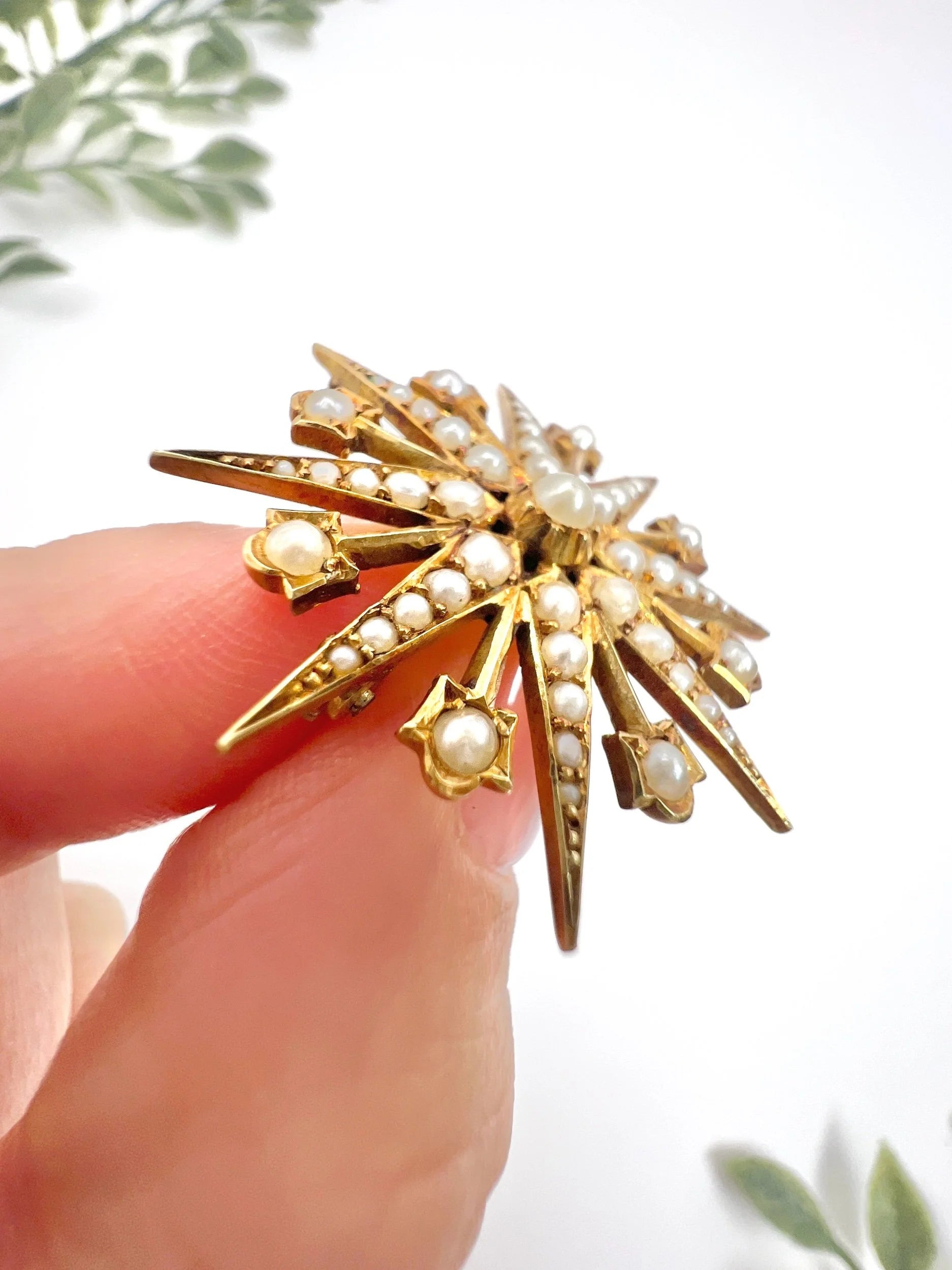 Antique 15 ct Yellow Gold, Edwardian Seed Pearl Star Pendant/Brooch