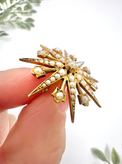 Antique 15 ct Yellow Gold, Edwardian Seed Pearl Star Pendant/Brooch