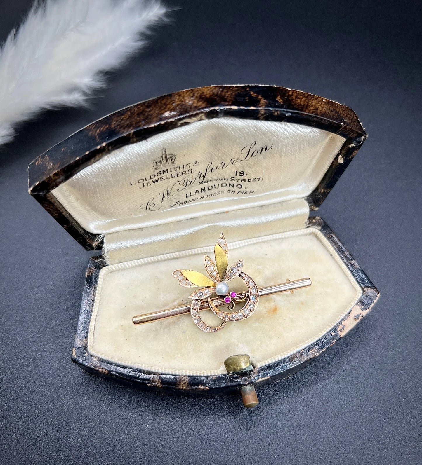 Victorian 18 Carat Gold Ruby, Diamond and Pearl Insect Brooch, Circa 1880