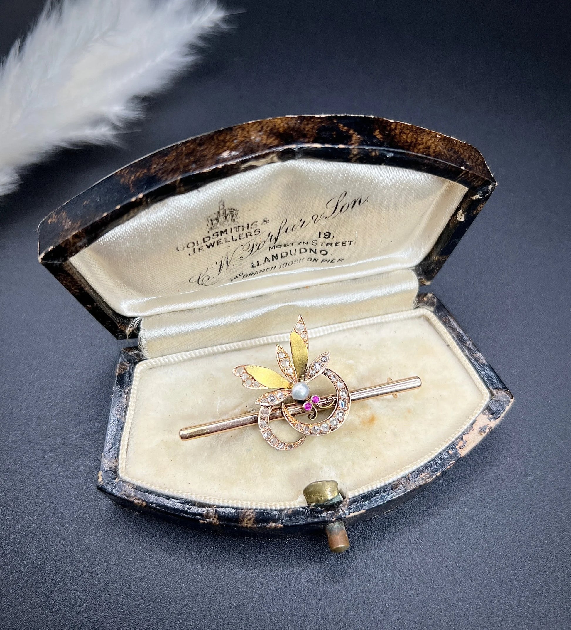 Victorian 18 Carat Gold Ruby, Diamond and Pearl Insect Brooch, Circa 1880
