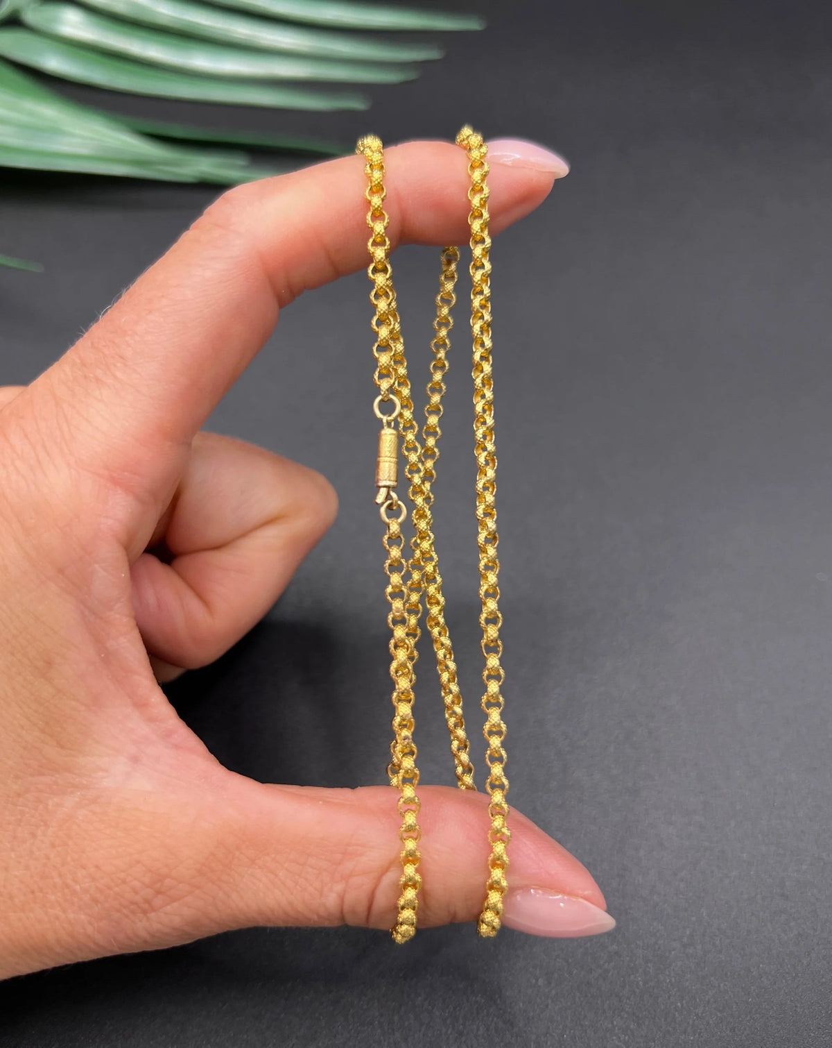 Georgian 18 Carat Gold Chain Textured Round Belcher Link Necklace, Circa 1825