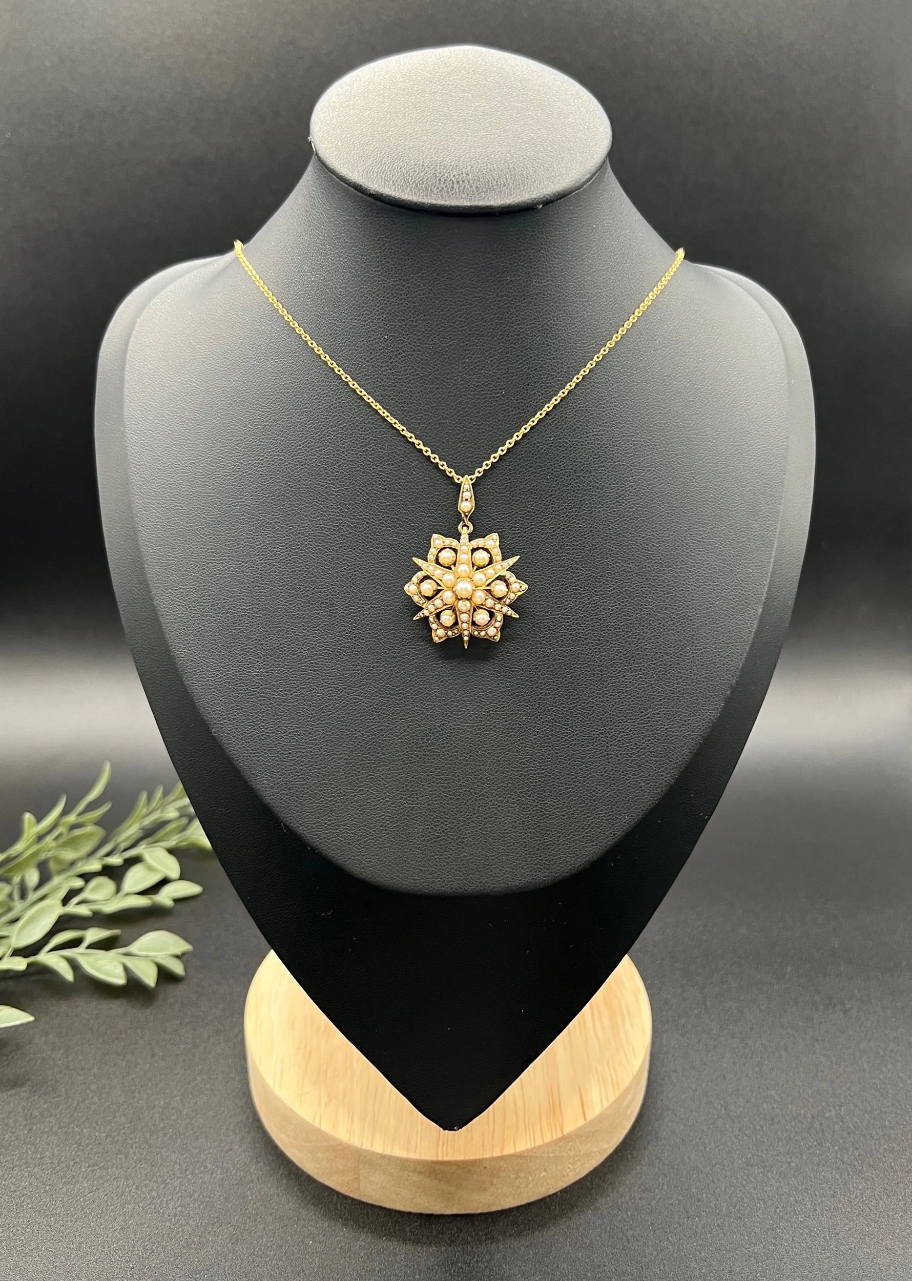 A yellow gold brooch/pendant with pearls in the shape of a star, with a chain, on a black jewellery bust