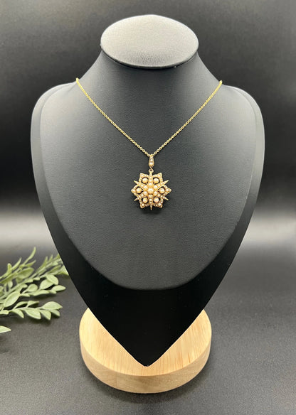 A yellow gold brooch/pendant with pearls in the shape of a star, with a chain, on a black jewellery bust