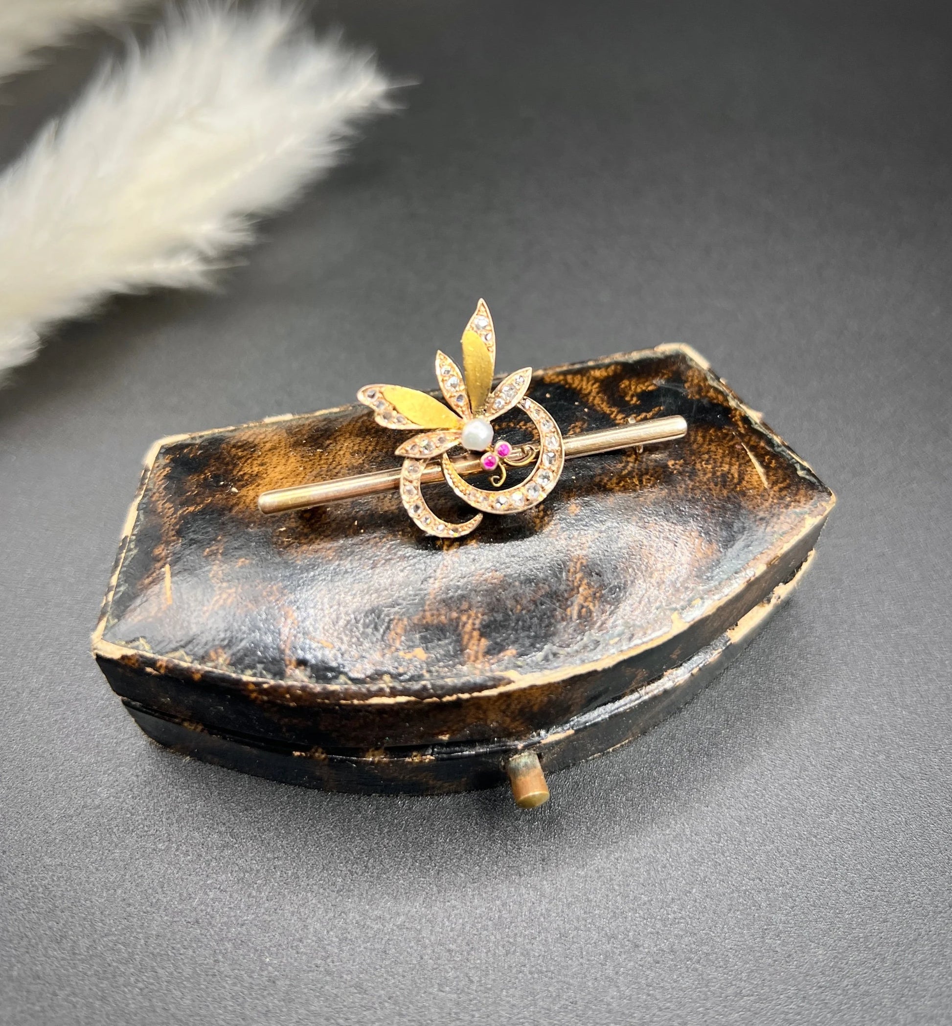 Victorian 18 Carat Gold Ruby, Diamond and Pearl Insect Brooch, Circa 1880