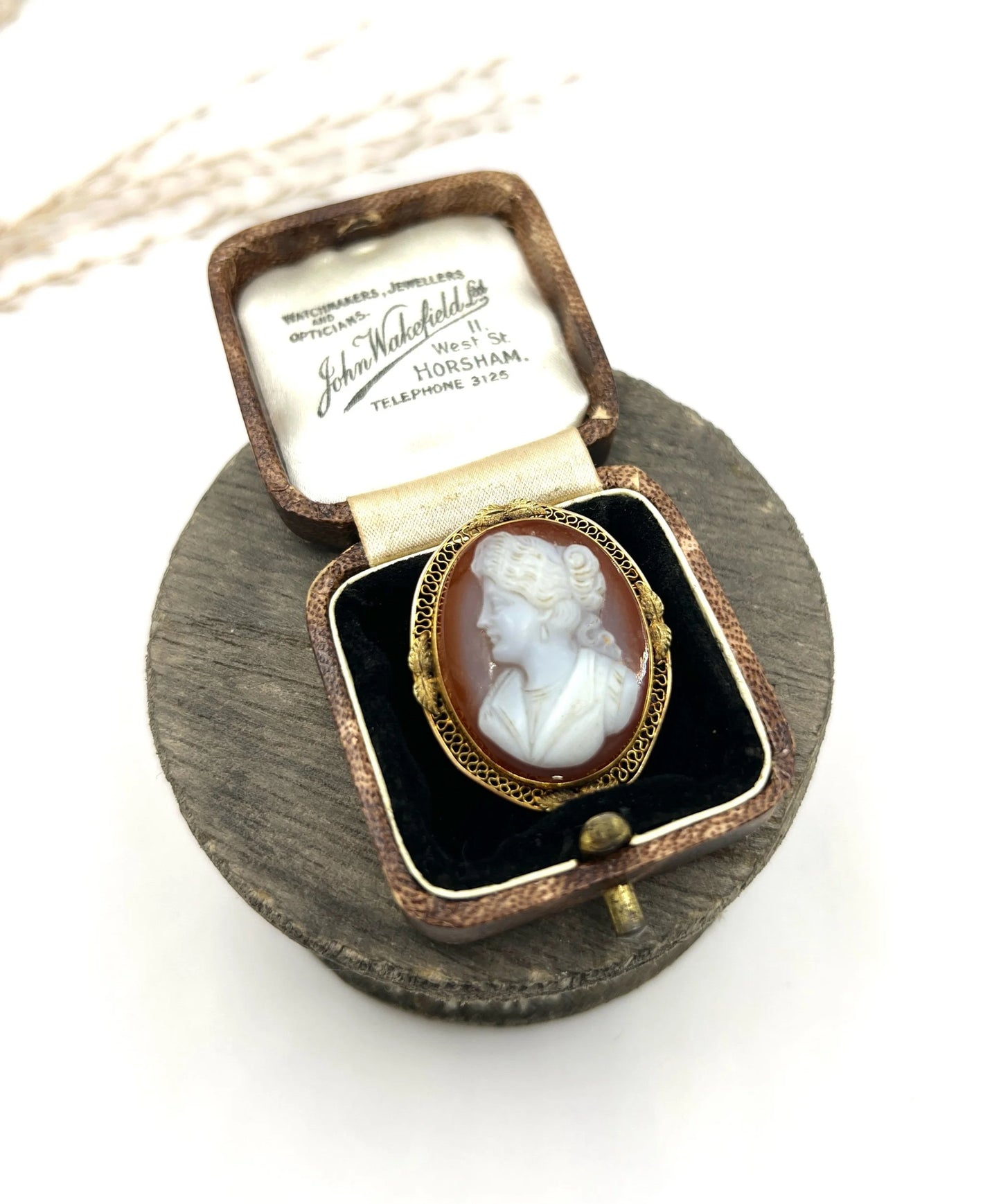 Victorian 10 Carat Gold Hardstone Cameo Brooch/Pendant Necklace, Circa 1890
