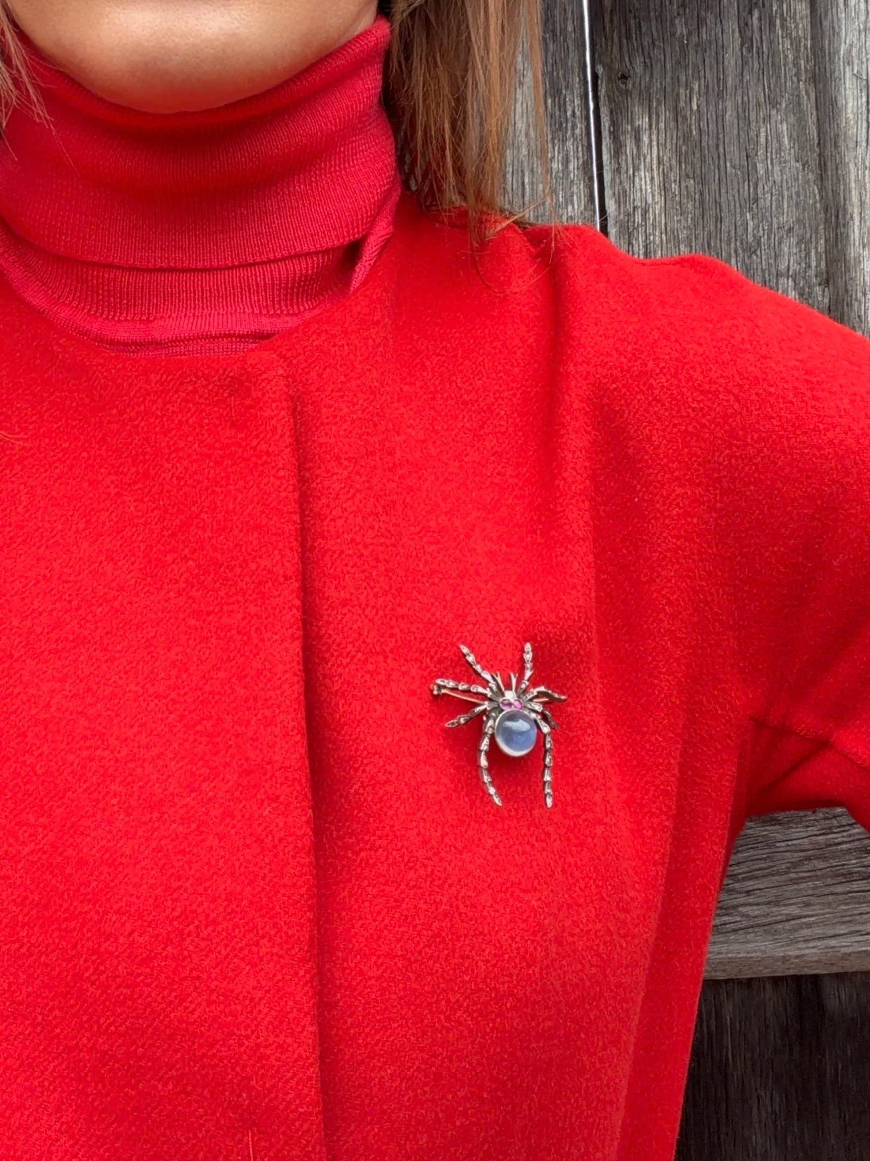 A spider brooch with a sapphire and ruby body and diamond legs, in silver and gold, modelled on a red jacket