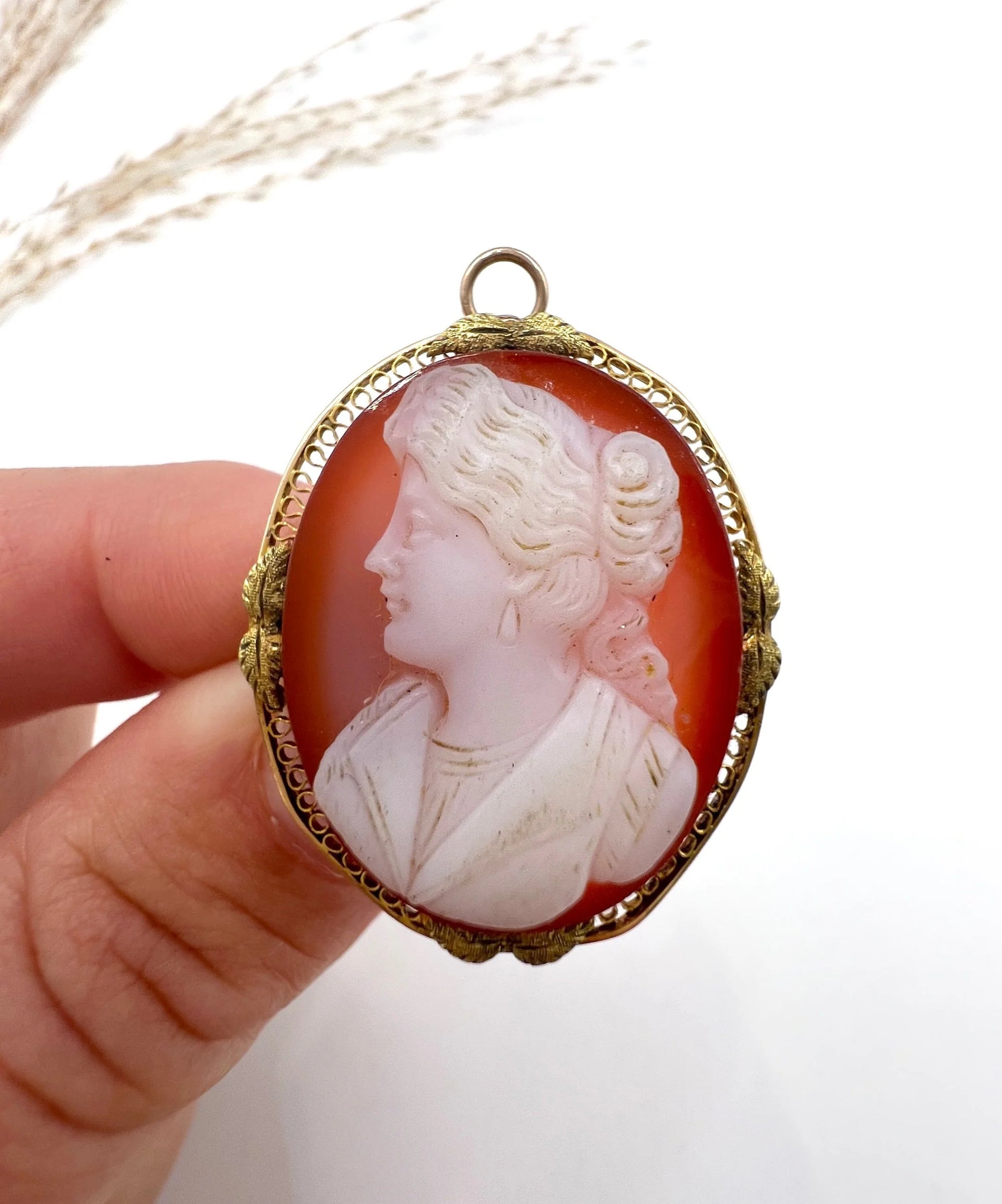 Victorian 10 Carat Gold Hardstone Cameo Brooch/Pendant Necklace, Circa 1890