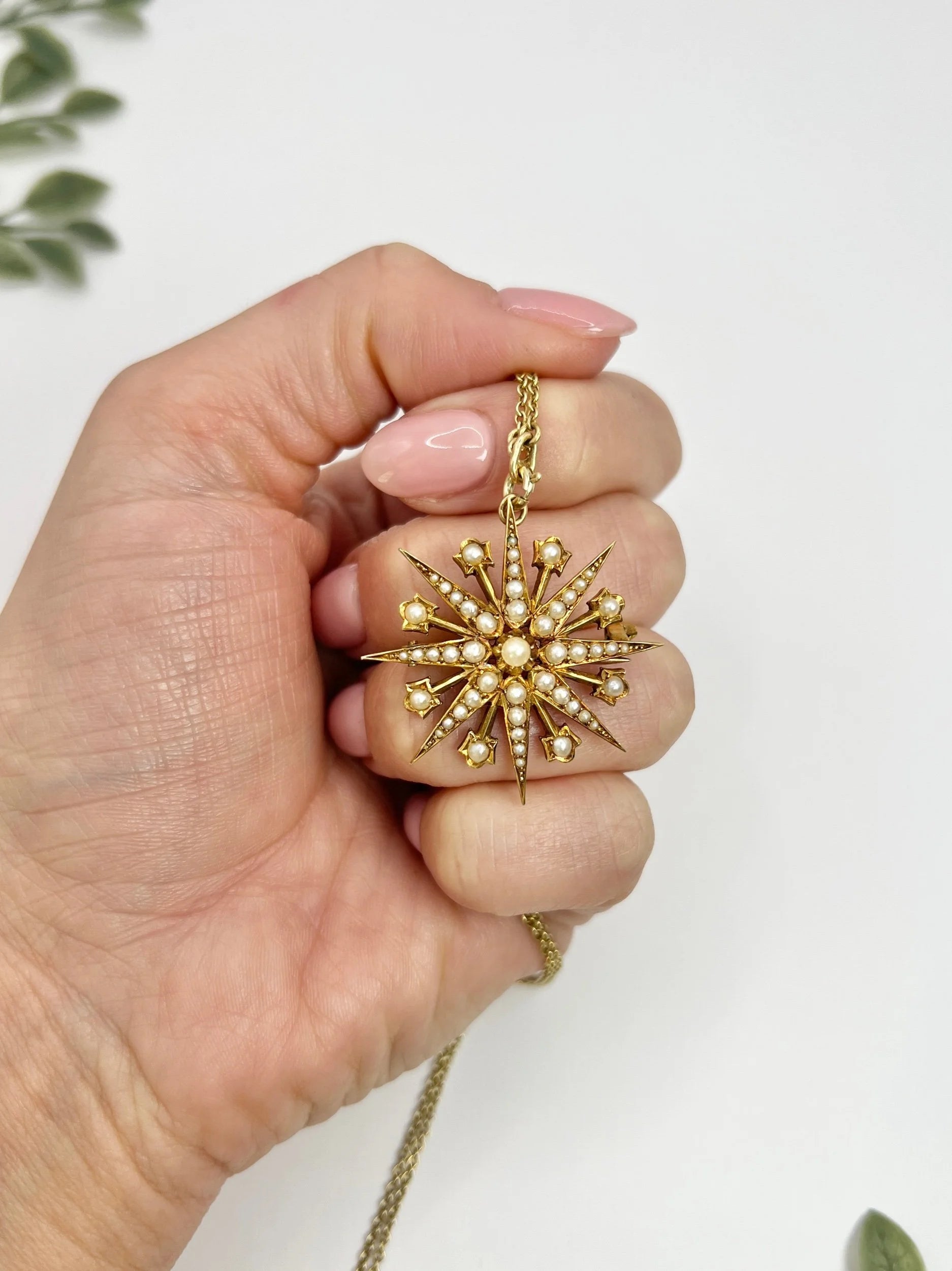 Antique 15 ct Yellow Gold, Edwardian Seed Pearl Star Pendant/Brooch
