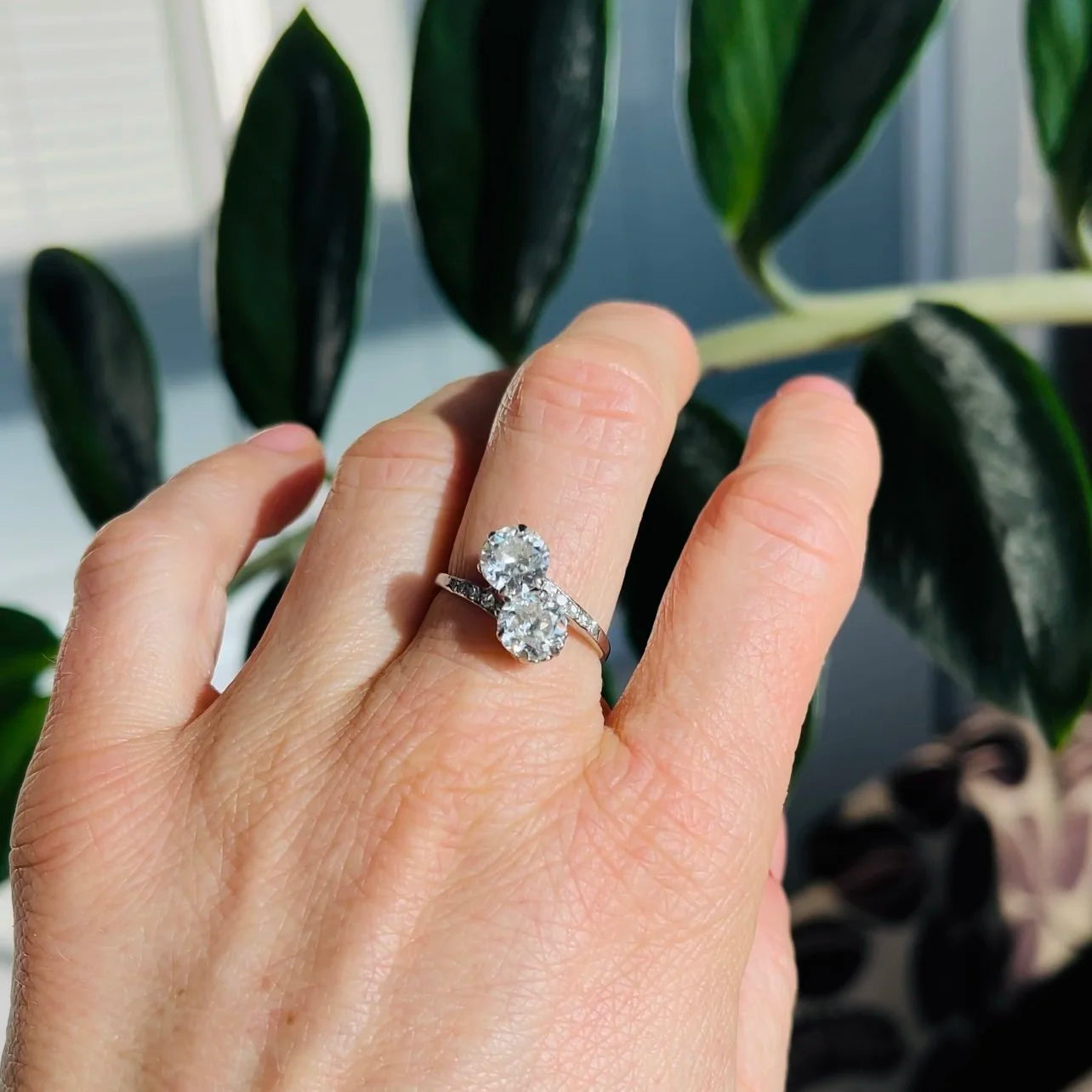 A two stone diamond crossover ring in white gold with diamond shoulders, modelled on the middle finger of a hand