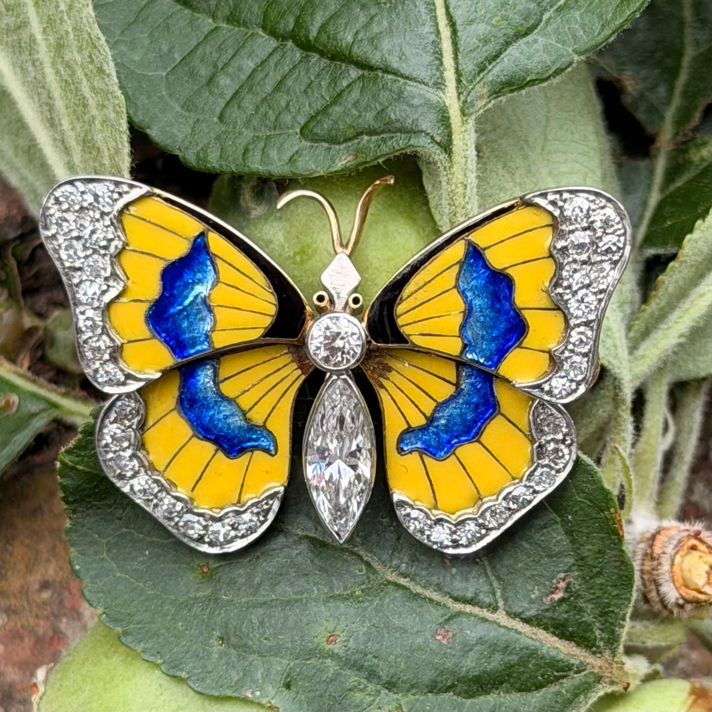 Early 20th Century Diamond and Enamel Butterfly Brooch