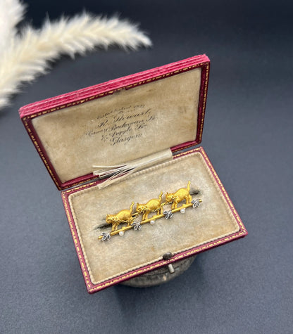 Antique 18 Carat Yellow Gold Diamond and Seed Pearl Cat Brooch, Circa 1910