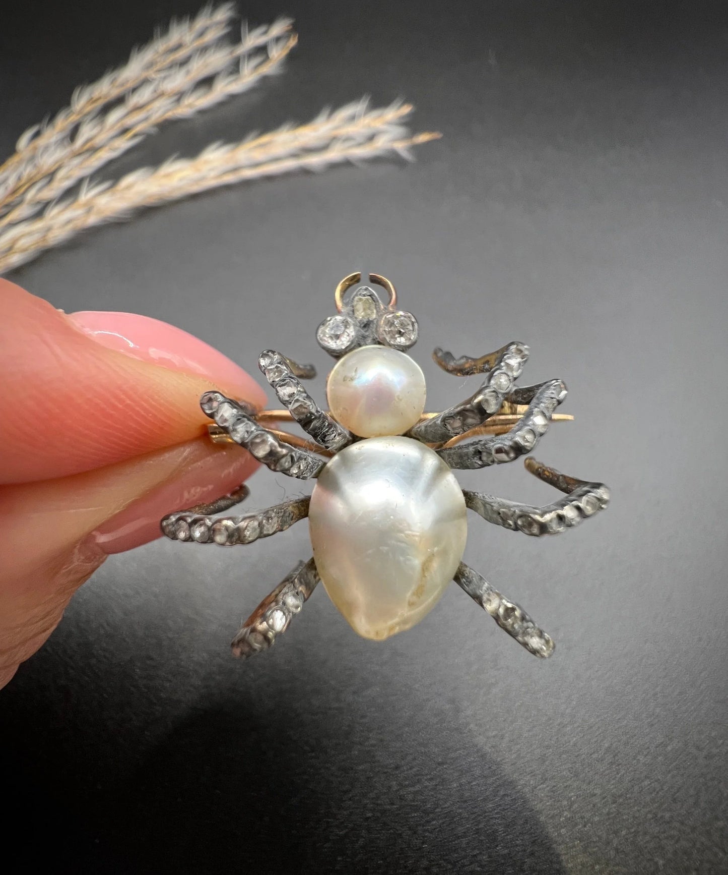 A pearl and diamond spider brooch in gold and silver, held in a hand