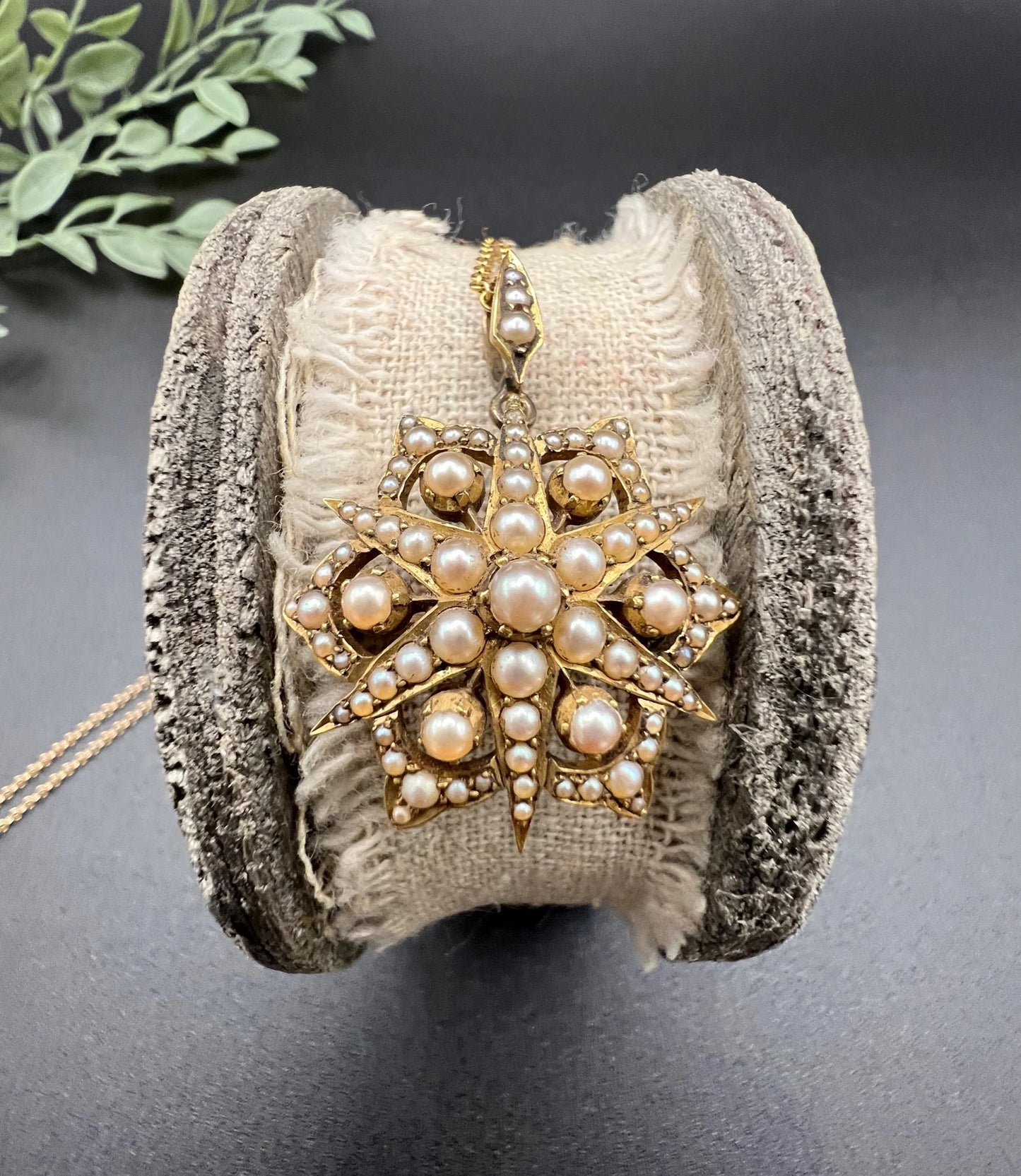 A yellow gold brooch/pendant with pearls in the shape of a star, with a chain
