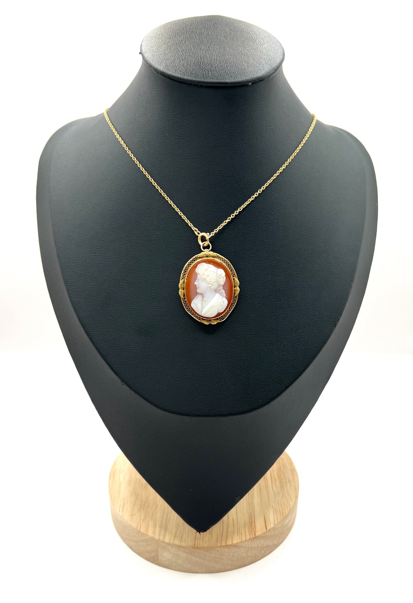 Victorian 10 Carat Gold Hardstone Cameo Brooch/Pendant Necklace, Circa 1890
