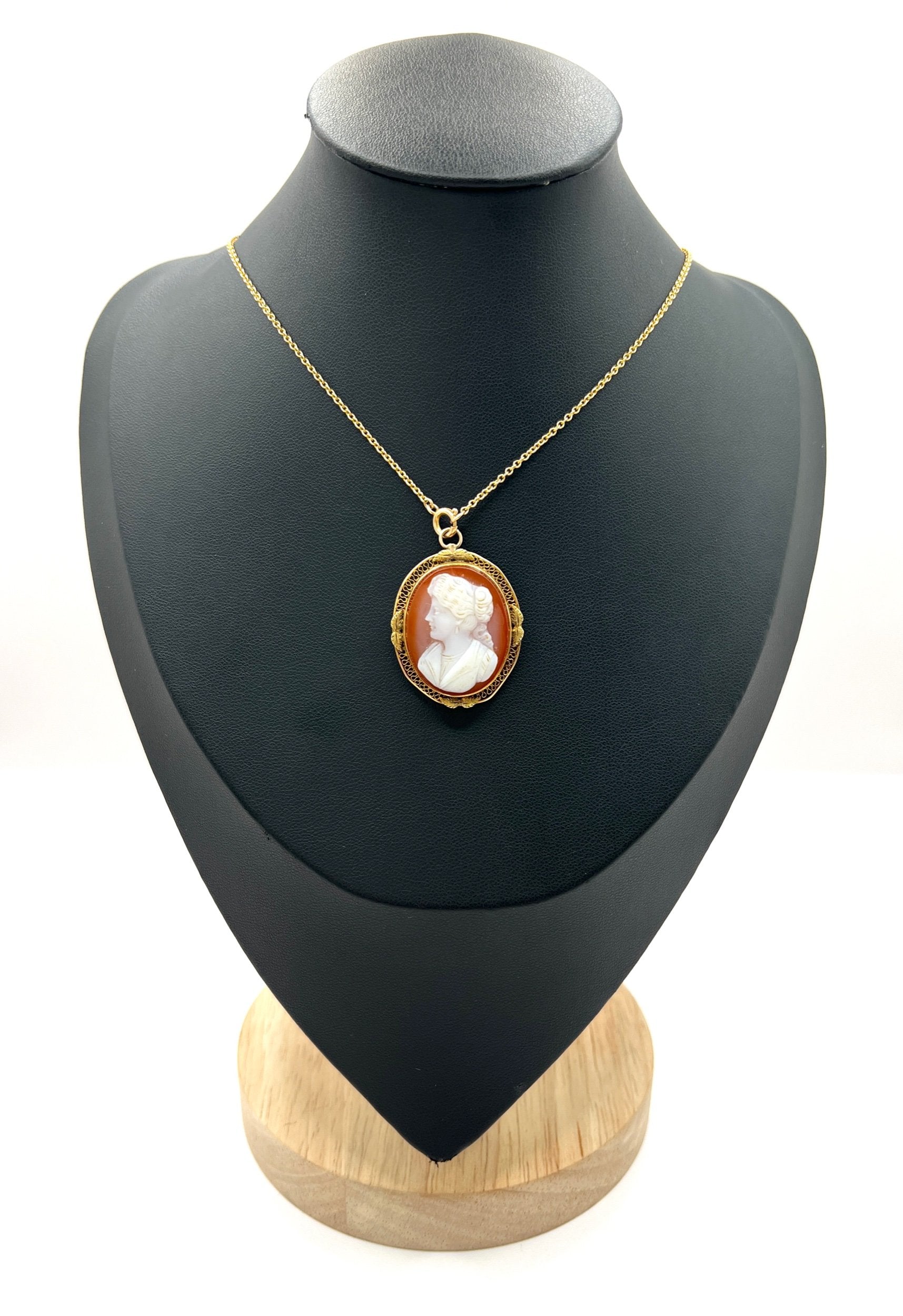Victorian 10 Carat Gold Hardstone Cameo Brooch/Pendant Necklace, Circa 1890