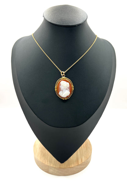 Victorian 10 Carat Gold Hardstone Cameo Brooch/Pendant Necklace, Circa 1890