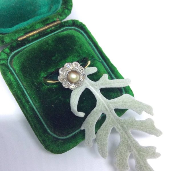 Antique Brown Pearl and Old Cut Diamond Cluster Ring