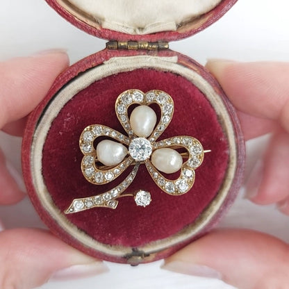 Edwardian Antique Natural Pearl and Diamond Shamrock Brooch