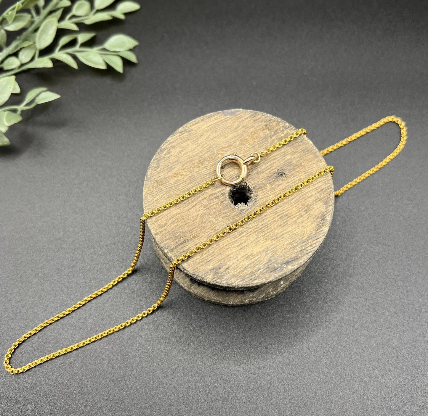 A yellow gold rolo link chain necklace