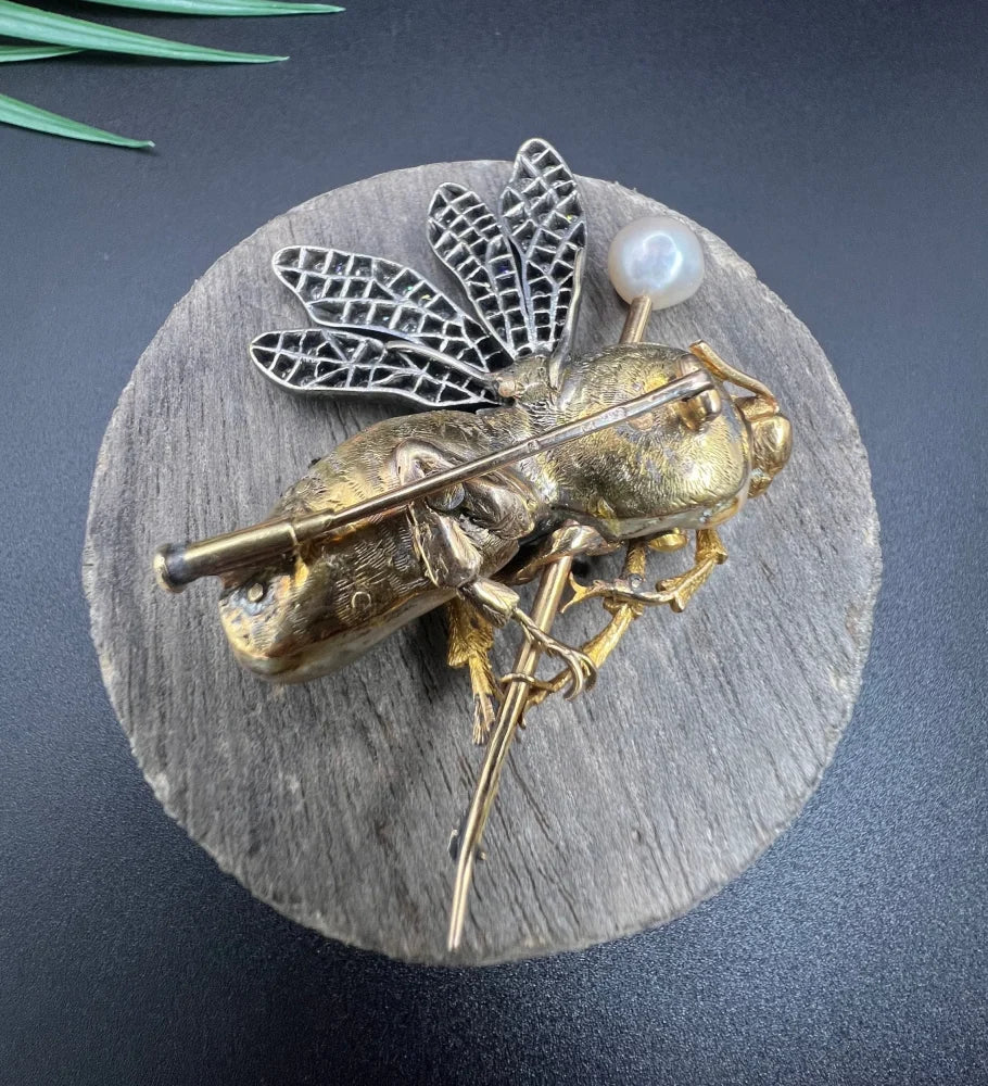 Vintage Abalone Pearl Insect Brooch with Diamonds