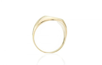 Antique Early 20th Century 18ct Gold Gent's Tiger Seal Ring