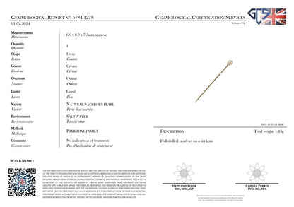 Tiffany & Co 14 Carat Gold Natural Pearl Stick Pin