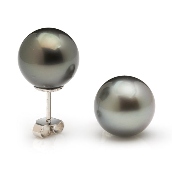 Tahitian Pearl Studs Earrings
