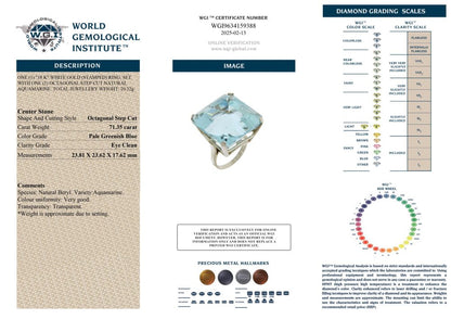 WGI Certified 71.35 Carat Aquamarine Cocktail Ring In 18 Carat White Gold