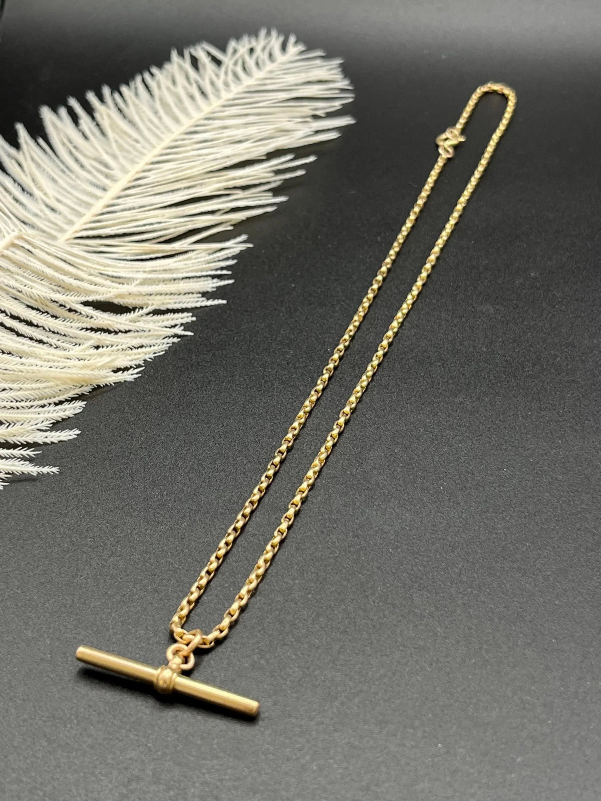 Antique 9 Carat Yellow Gold 21.5 Inch Chain Necklace with T-Bar
