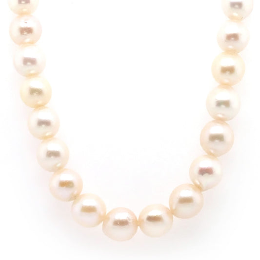 A Row of Cultured Pearls Threaded on an 18ct Yellow Gold Clasp
