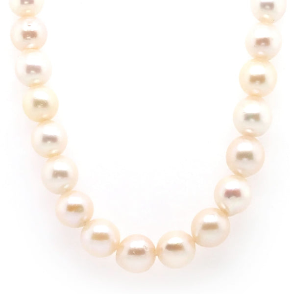 A Row of Cultured Pearls Threaded on an 18ct Yellow Gold Clasp