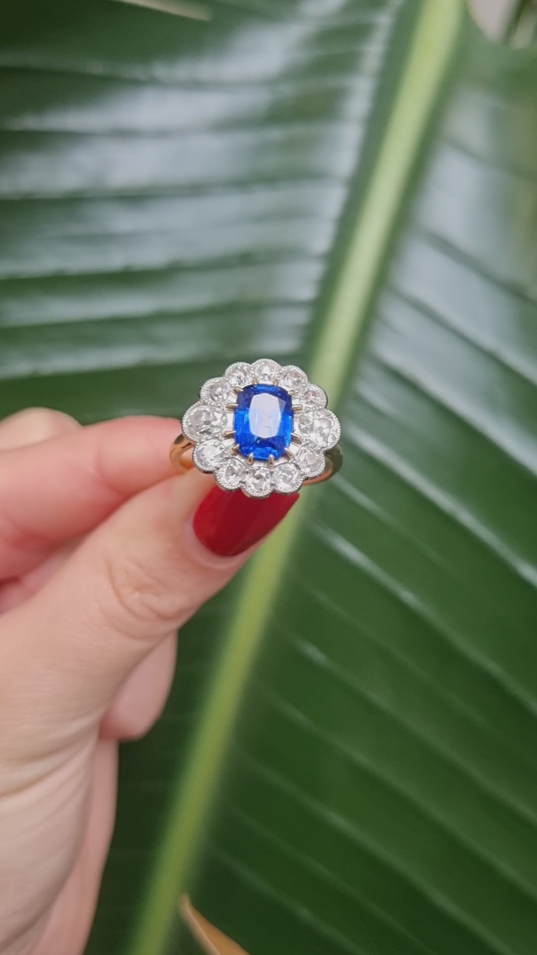 Antique sapphire and diamond ring Burma no heat large cluster oval shape 