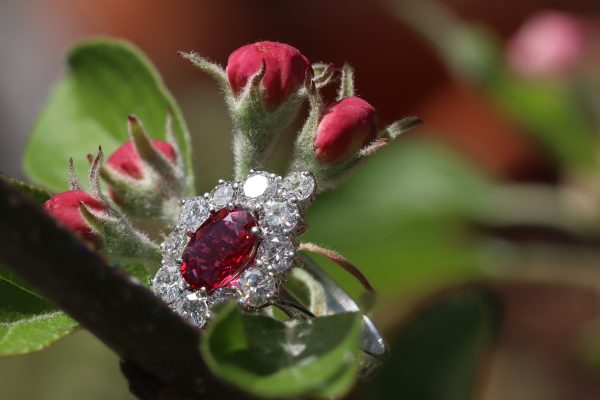 Vintage Ruby and Diamond Cluster Ring; featuring an 0.80ct oval faceted ruby surrounded by 1.80cts round brilliant-cut diamonds, in 18ct white gold. Circa 1970s