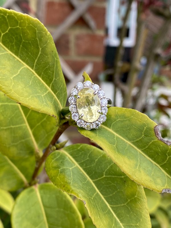 6.42ct Sri Lanka Yellow Sapphire and Diamond Oval Cluster Ring in 18ct White Gold, no heat treatment