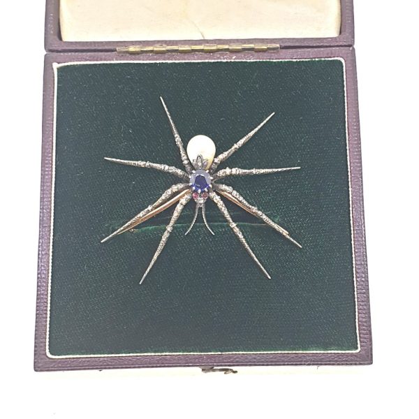 Antique Victorian Sapphire and Natural Pearl Spider Brooch in fitted case