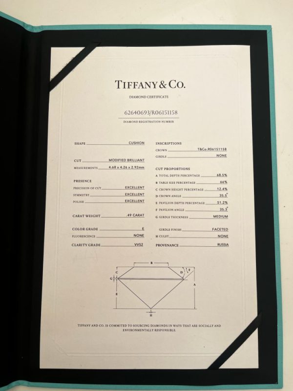 Tiffany & Co platinum diamond halo ring.