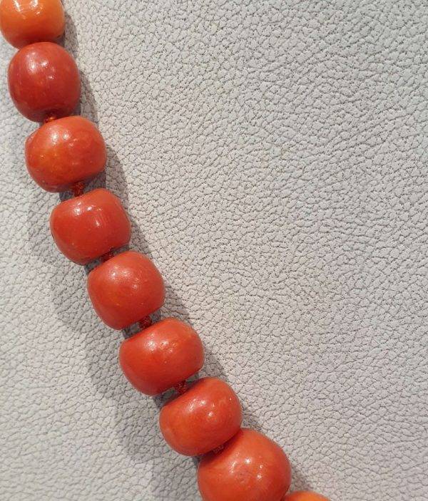Antique Graduated Natural Coral Beaded Necklace, Circa 1900