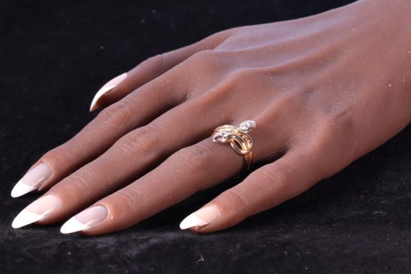 Double snake ring with diamonds and rubies in gold.