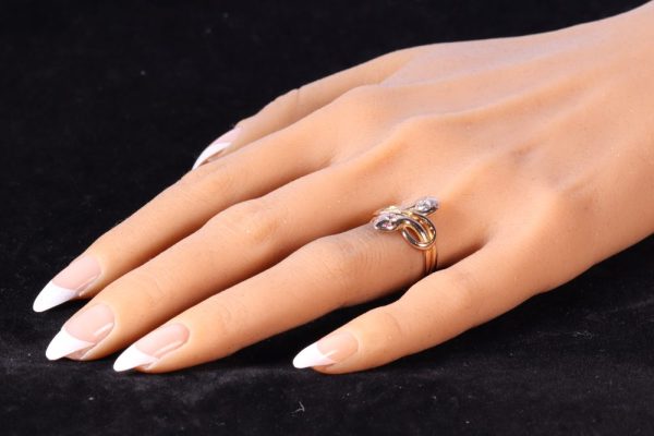 Double snake ring with diamonds and rubies in gold.