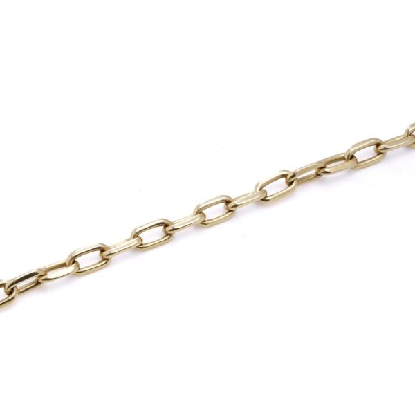 Cartier gold chain bracelet.