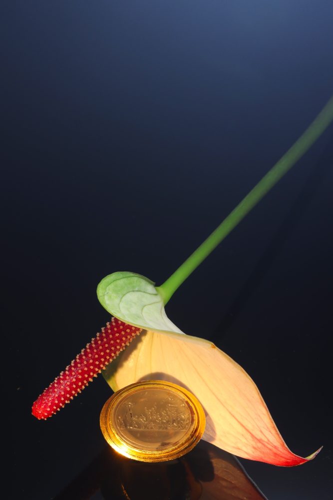 18th Century agate gold ring.