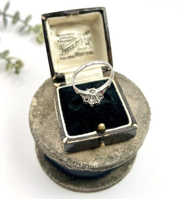 Diamond daisy cluster ring in platinum.