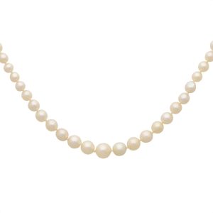 Cultured Pearl And Diamond Necklace With 9 Carat White Gold Clasp